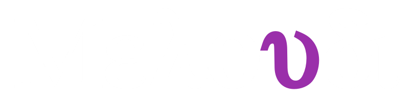 Meloudi Meloudi logo